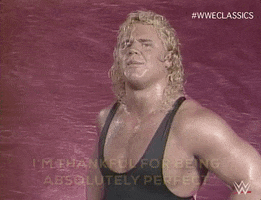 TV gif. Mr. Perfect poses against a pink background with his hand on his hip, smiling proudly while saying, "I'm thankful for being absolutely perfect," which appears as text.