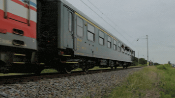 Historie ÄEskã©Ho ZloäInu GIF