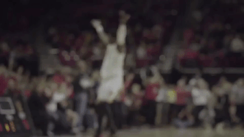 excited college basketball GIF by Maryland Terrapins