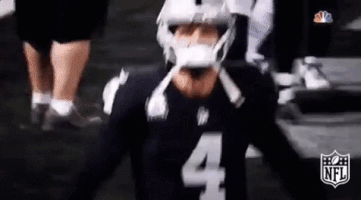 Celebrate Oakland Raiders GIF by NFL