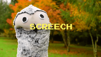 Screech Owl GIF