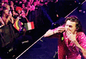 Romance Story GIF