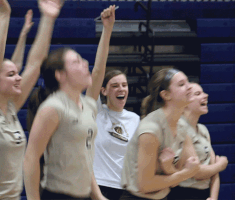 Howl Nsic GIF