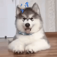 Puppy Reaction GIF by MOODMAN