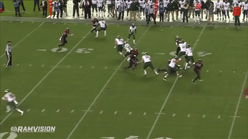 Colorado State Csurams GIF
