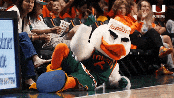 laying down college basketball GIF by Miami Hurricanes