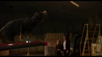 rescue rope GIF by Show Dogs Movie