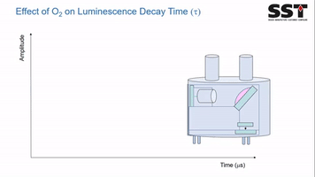 Oxygen Sensor GIF