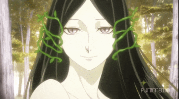 ancient magus bride sparkles GIF by Funimation