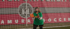 Melissa Mccarthy Soccer GIF by Life of the Party Movie