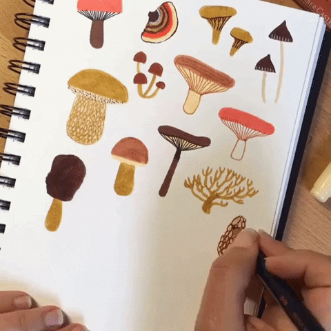 elisegravel illustration mushrooms sketchbook live drawing GIF