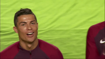 Cristiano Ronaldo Ok GIF by Portugal