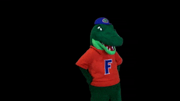 Oh Boy Albert Gator GIF by Florida Gators