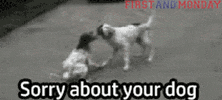 sorry dog GIF by FirstAndMonday
