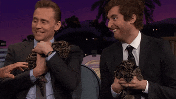 tom hiddleston GIF by The Late Late Show with James Corden