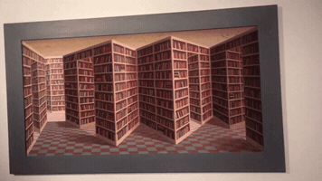 shanachiecarroll  GIF