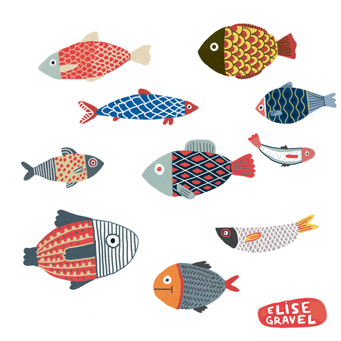 fish GIF by Elise Gravel