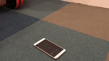 200.gif?cid=fc005b08b2ac25849b6706683cdc2f48492ffde9868a4f93&rid=200.gif&ct=g