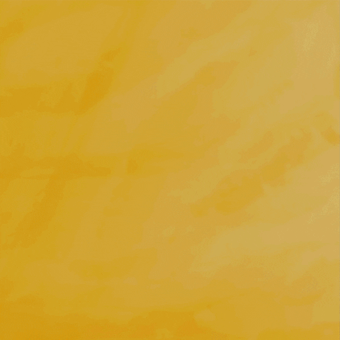 Surprise GIF by NT