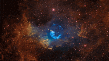 Star Nasa GIF by NASA's Goddard Space Flight Center