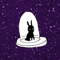 Outer Space Bunny GIF by Cupofstars