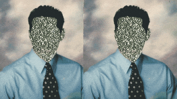 Indie Rock GIF by SEGO