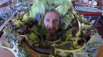 Prank Salad GIF by The Eric Andre Show