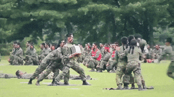 artworkofarmies  GIF