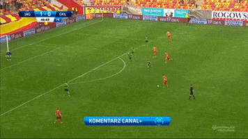 maciejrogowski  GIF