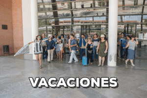 bibupo #vacaciones #bibliotecarios GIF