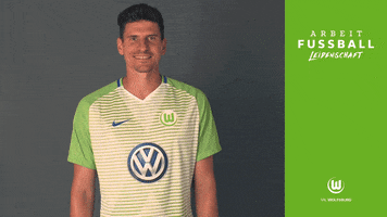you are right mario gomez GIF by VfL Wolfsburg