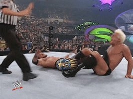 Summerslam 2002 Wrestling GIF by WWE