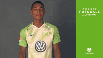 ohis felix uduokhai no GIF by VfL Wolfsburg