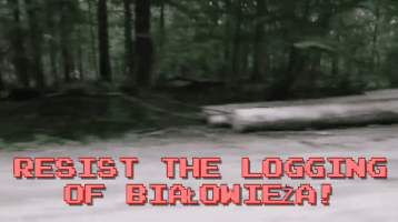 GJEPgifs deforestation earth first! GIF