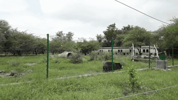 tourmyindia  GIF