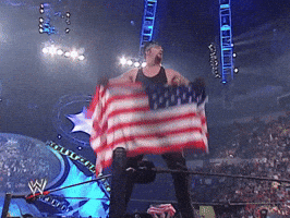 American Flag Sport GIF by WWE