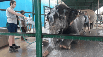 tourmyindia  GIF