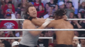 Dean Ambrose Wrestling GIF by WWE
