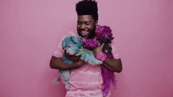hannahoconnellcaratcom  GIF