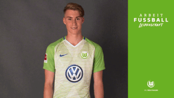 gian-luca itter bundesliga GIF by VfL Wolfsburg