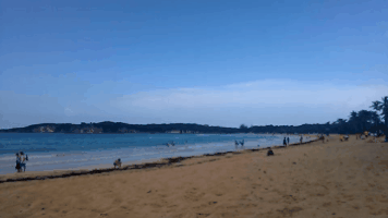 Yudafry  GIF