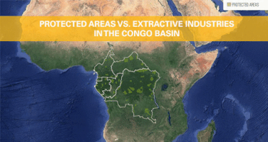 rainforestdefender  GIF