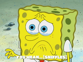 200.gif?cid=fc005b0827cb6ddc407e3172852443cc1deb971c92c6df46&rid=200.gif&ct=g