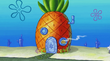 episode 5 spongebob's place GIF by SpongeBob SquarePants