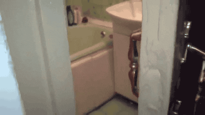 Cat Closing GIF - Find & Share on GIPHY