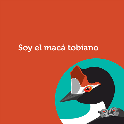 FARNARGENTINA rio naturaleza patagonia ambiente GIF