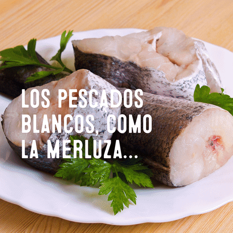 Omega3 Proteã­Nas GIF by pescanova