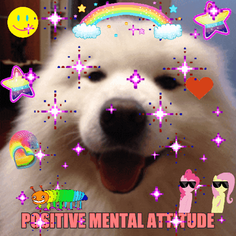 pma positive mental attitude GIF by chuber channel