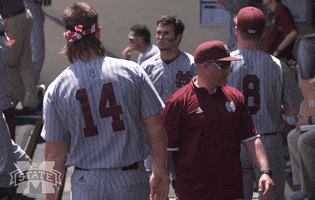baseball bulldogs GIF by Mississippi State Athletics