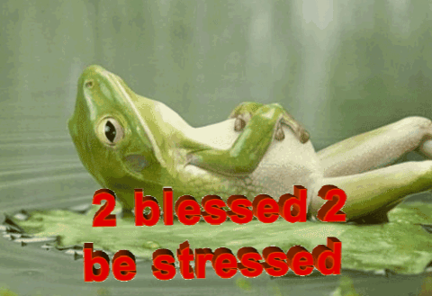 Too Blessed To Be Stressed GIF by Becky Chung